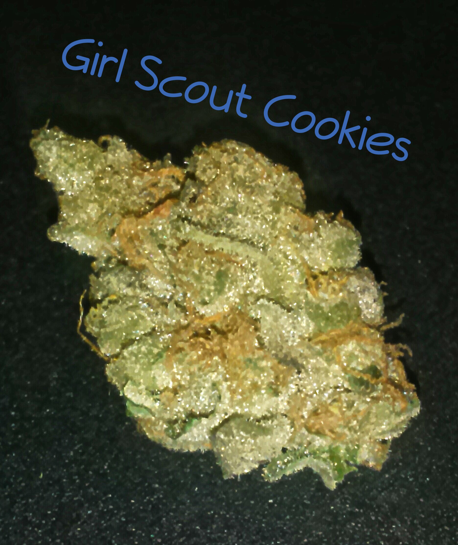 My Favorite Strains Girl Scout Cookies Weedist Weedist