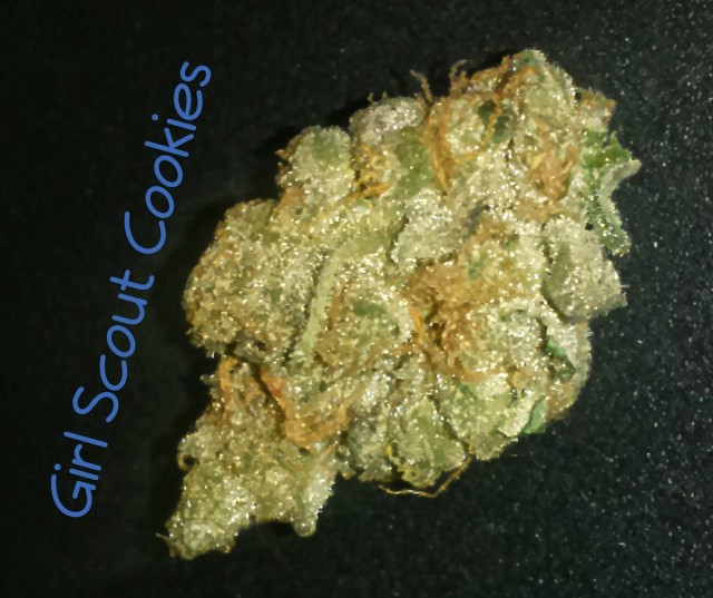 My Favorite Strains: Girl Scout Cookies, Source: Original Photography by Phe Harpha