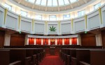 NORML, Feds Agree on Benefits of Cannabis