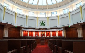 NORML, Feds Agree on Benefits of Cannabis
