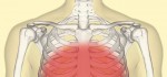 THC Pills: A New Rx for Chest Pain?