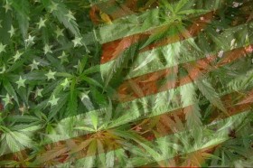 Cannabis Country: The Evolution of Cannabis in the U.S.