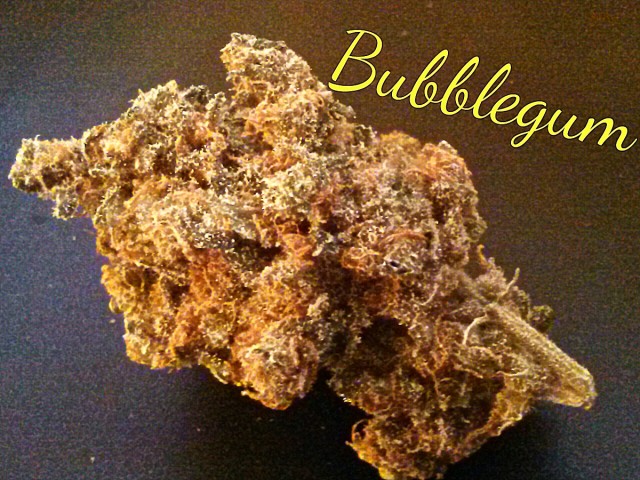 My Favorite Strains: Bubblegum, Source: Original Photography by Phe Harpha