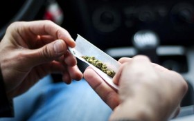 Over 56,000 Fewer Marijuana Arrests in 2013