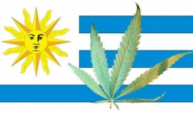 Uruguay Presidential Candidates Opposite on Mujica’s Legal Weed Law
