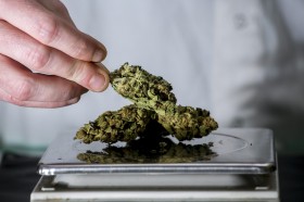 Israeli Company Wants to Grow “Designer” Cannabis