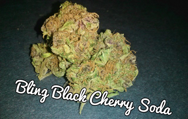 My Favorite Strains: Bling Black Cherry Soda - Weedist | Source: Weedist