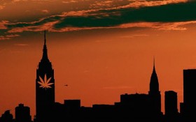 New York Senator Holds Public Hearing on Legalizing Recreational Marijuana