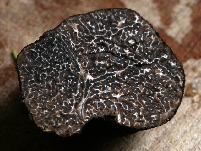 Truffles and Cannabis: A Striking Similarity, Source: http://upload.wikimedia.org/wikipedia/commons/0/02/Tuber_brumale_-_Vue_sur_la_tranche_coup%C3%A9e.jpg