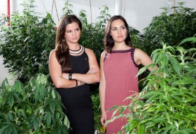 Two Colorado Women Form Cannabis Branding Business, Source: http://www.rebrandingcannabis.com/wp-content/uploads/2014/10/05JPPOTBRAND-master675.jpg
