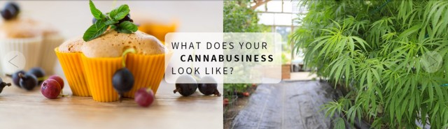 Two Colorado Women Form Cannabis Branding Business, Source: http://www.cannabrand.co/