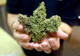 Brazil Approves Marijuana Derivative for Medical Treatment