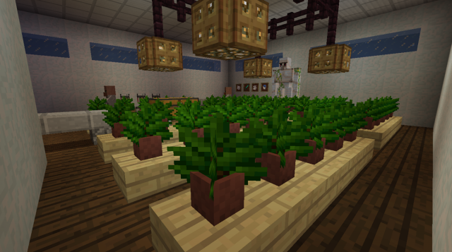 Plantação de maconha mal sucedida no Minecraft O. X IN bi MD dp