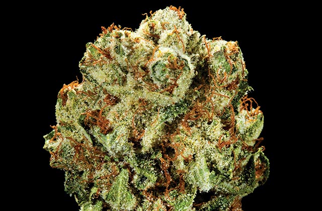 My Favorite Strains: Top Five of 2014, Source: http://assets.hightimes.com/lf_a_dub.jpg