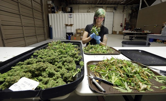 Too Much Weed: Washington Weed Supply Exceeds Demand, Source: http://monroenews.media.clients.ellingtoncms.com/img/photos/2015/01/16/Too_Much_Pot_Gorc_t1200.jpg?57a0c2296240c280e9492005c3cad63e7cbe80f4