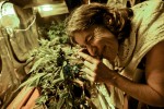 Uruguay’s Year in Marijuana: 3 Successes, 3 Burning Questions