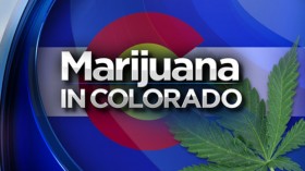 Colorado Publishes Review of Marijuana Health Research