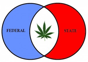 Congress Introduces New Bills to Allow Federal Cannabis Legalization, Source: https://lh4.ggpht.com/j7PsvjQCL61feR51BaWvHrMVBpRqtezoRQOQwEOIrrPi_LH-CjlFUUC3BBr9mTK1Jf2Jxg=s120