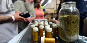 Medical Marijuana Patients in California Are Being Denied Organ Transplants, but That Could Soon Change