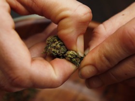 6 in 10 Young Republicans Favor Legal Marijuana, Survey Says