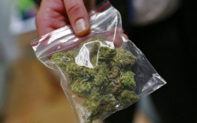 D.C. Man Asks Police for His Weed Back, and Gets It