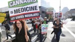 Medical Marijuana Bill Gains Momentum in Senate