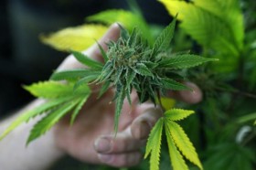 New Hampshire Lawmakers to Consider Decriminalizing Marijuana