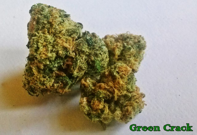 My Favorite Strains: Green Crack, Source: Original photography for Weedist.com by Phe Harpha