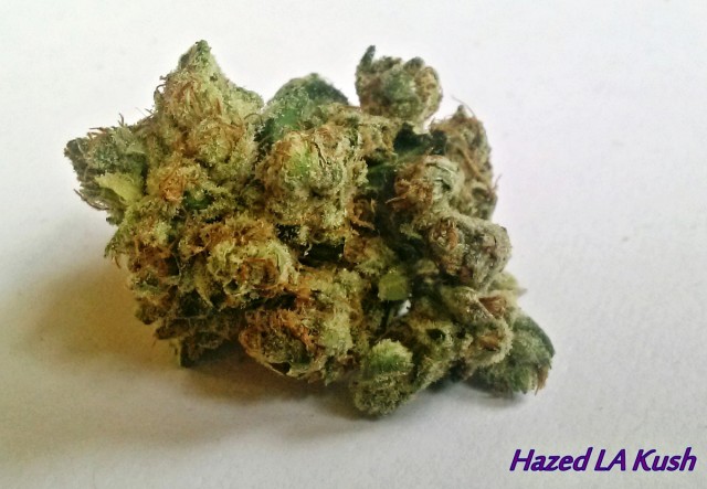 My Favorite Strains: Hazed LA Kush, Source: Original Photography for Weedist.com by Phe Harpha