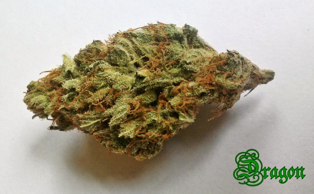 My Favorite Strains: Dragon, Source: Original photo for Weedist.com by Phe Harpha