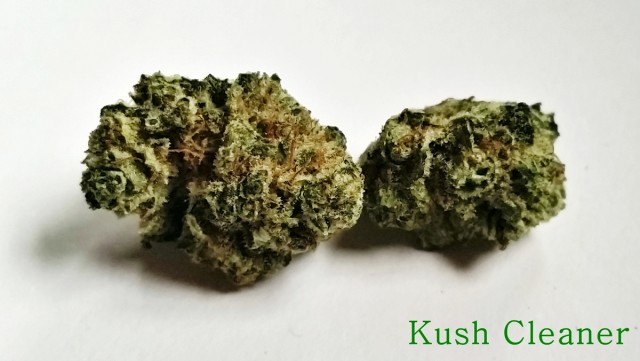 My Favorite Strains: Kush Cleaner, Source: Original photography for Weedist.com by Phe Harpha