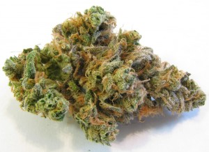 My Favorite Strains: Top 6 Best Tasting, Source: http://www.ourweed.com/wp-content/uploads/2010/02/nyc_diesel_02.jpg