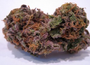 My Favorite Strains: Top 6 Best Tasting, Source: http://www.mjspectator.com/strains/primetime_gdp_june.jpg