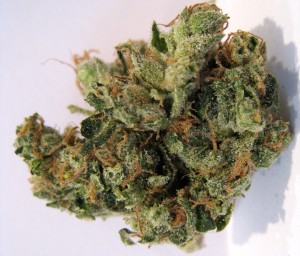 My Favorite Strains: Top 6 Best Tasting, Source: http://www.ourweed.com/wp-content/uploads/2010/02/nyc_diesel_02.jpg