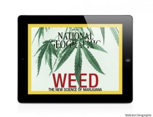 National Geographic Dedicates Cover to Cannabis, Source: http://chicagotimespost.com/wp-content/uploads/2015/05/o-IPAD-WEED-COVER-5701.jpg