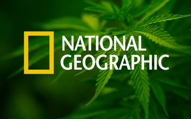 National Geographic Dedicates Cover to Cannabis, Source: http://my420tours.com/wp-content/uploads/2014/04/blog1-1080x675.jpg