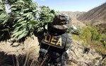 New DEA Chief Claims He Will Not Focus on Marijuana
