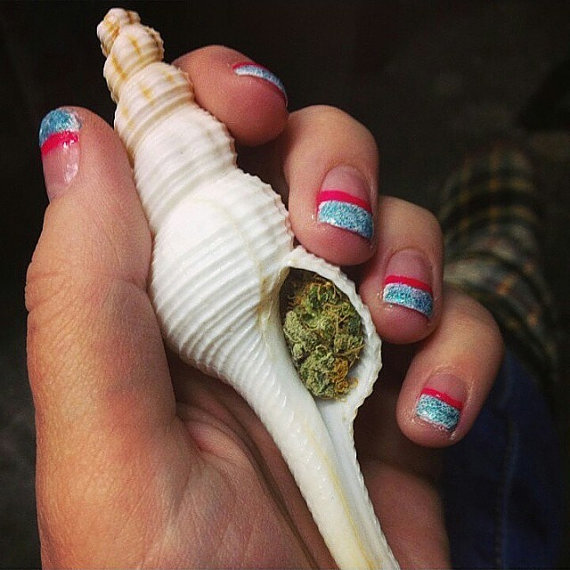 Piece of the Week | Authentic Seashell Pipes - Weedist