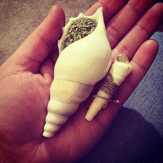 Piece of the Week | Authentic Seashell Pipes - Weedist