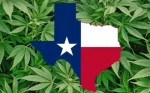 Texas Legislature Kills Marijuana Bills