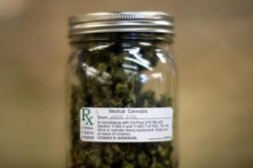 U.S. Anti-Legalization Group Urges More Access to Marijuana Research