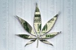 Buying Legal-Marijuana Stocks: Just Say No?