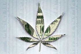 Buying Legal-Marijuana Stocks: Just Say No?
