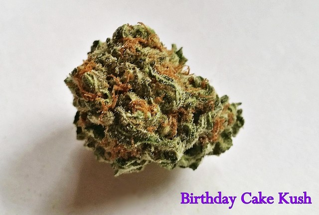 My Favorite Strains: Birthday Cake Kush, Source: Original photography by Phe Harpha  for Weedist.com