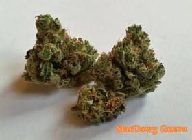 My Favorite Strains: Stardawg Guava