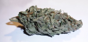 http://www.typesofweed.com/photos/dream-weed-1024x495.jpg