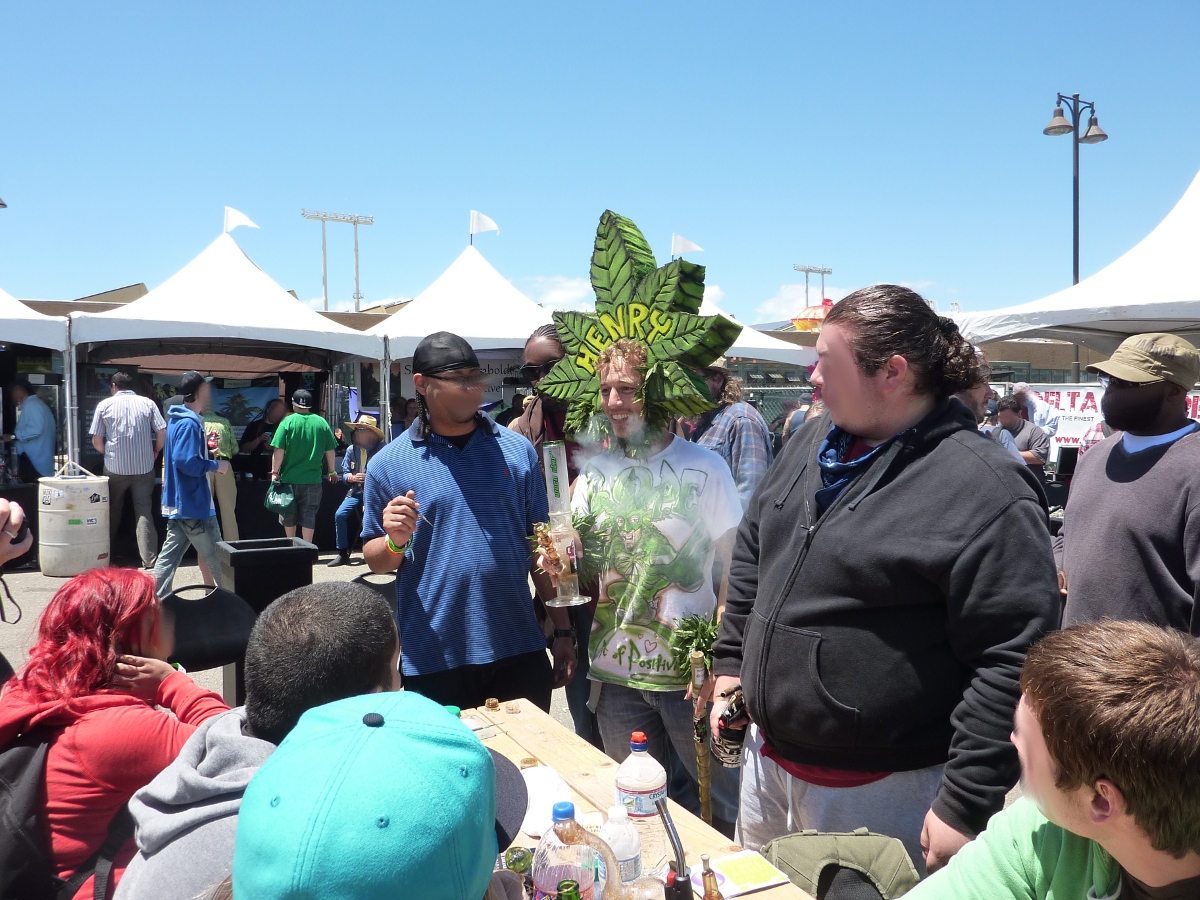 HernyHempCannabisCup2012SanFrancisco