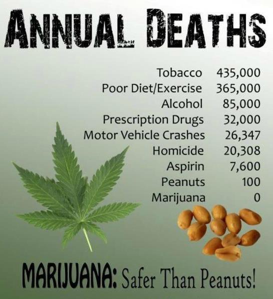 http://pinterest.com/pin/193865958929894646/