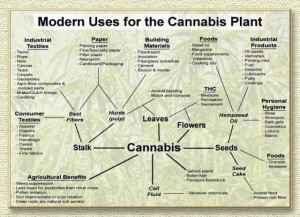 Source: http://relegalize.info/hemp/10-reasons-for-relegalization.shtml