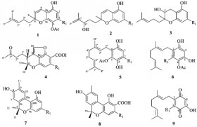 Tailoring Your High: Compounds in Cannabis, Properties and Boiling Points